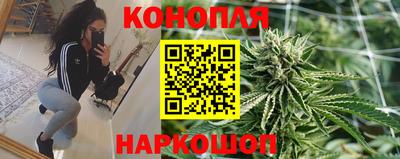 тгк Пугачёв