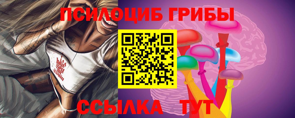 Галлюциногенные грибы Magic Shrooms  Псилоцибиновые грибы GOLDEN TEACHER  Вход с VPN  Орехово-Зуево 